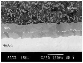 Scanning Electron Microscopy image of Ni3Al