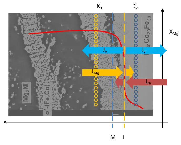 SEM image of reaction zone in Ni50Co20Fe30-Mg diffusion pair
