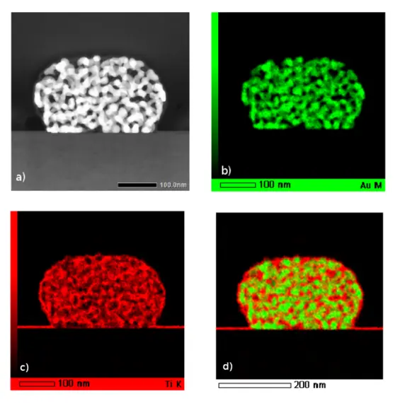 Porous gold nanoparticles